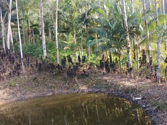 Sitio com 20,000,00m2 - Foto 5