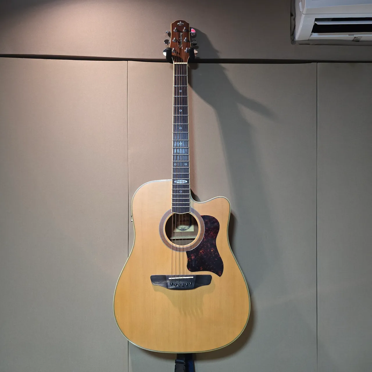 Violão Eletroacústico Strinberg SD-20C - Folk com Afinador