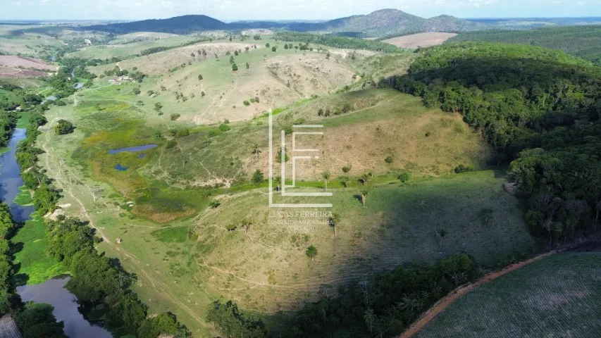 Belíssima fazenda com pasto reformado e 160 hectares em Matriz de Camaragibe-AL