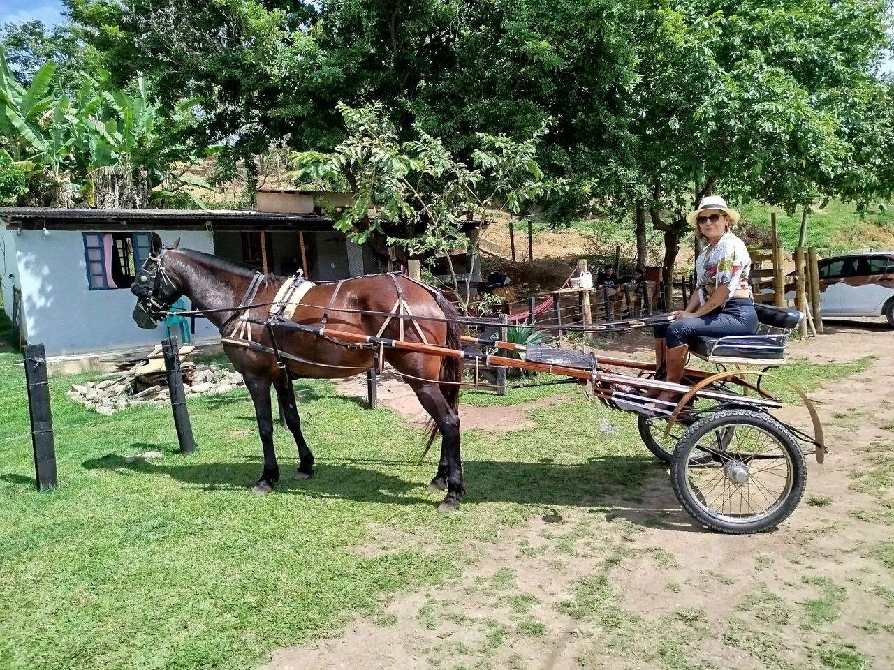 Charrete mais linda do ES - Foto 2