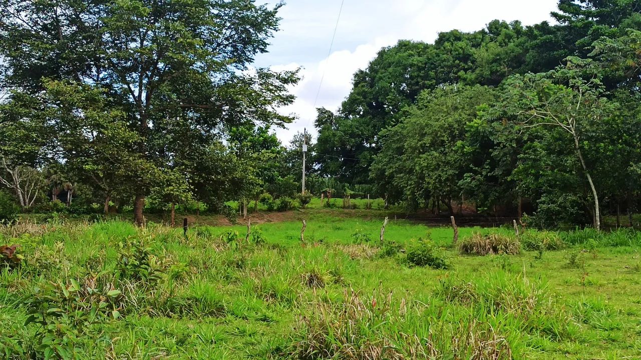fazenda escriturada GEO E CAR terra cultura em 2 Irmãos TO com 310 hectares