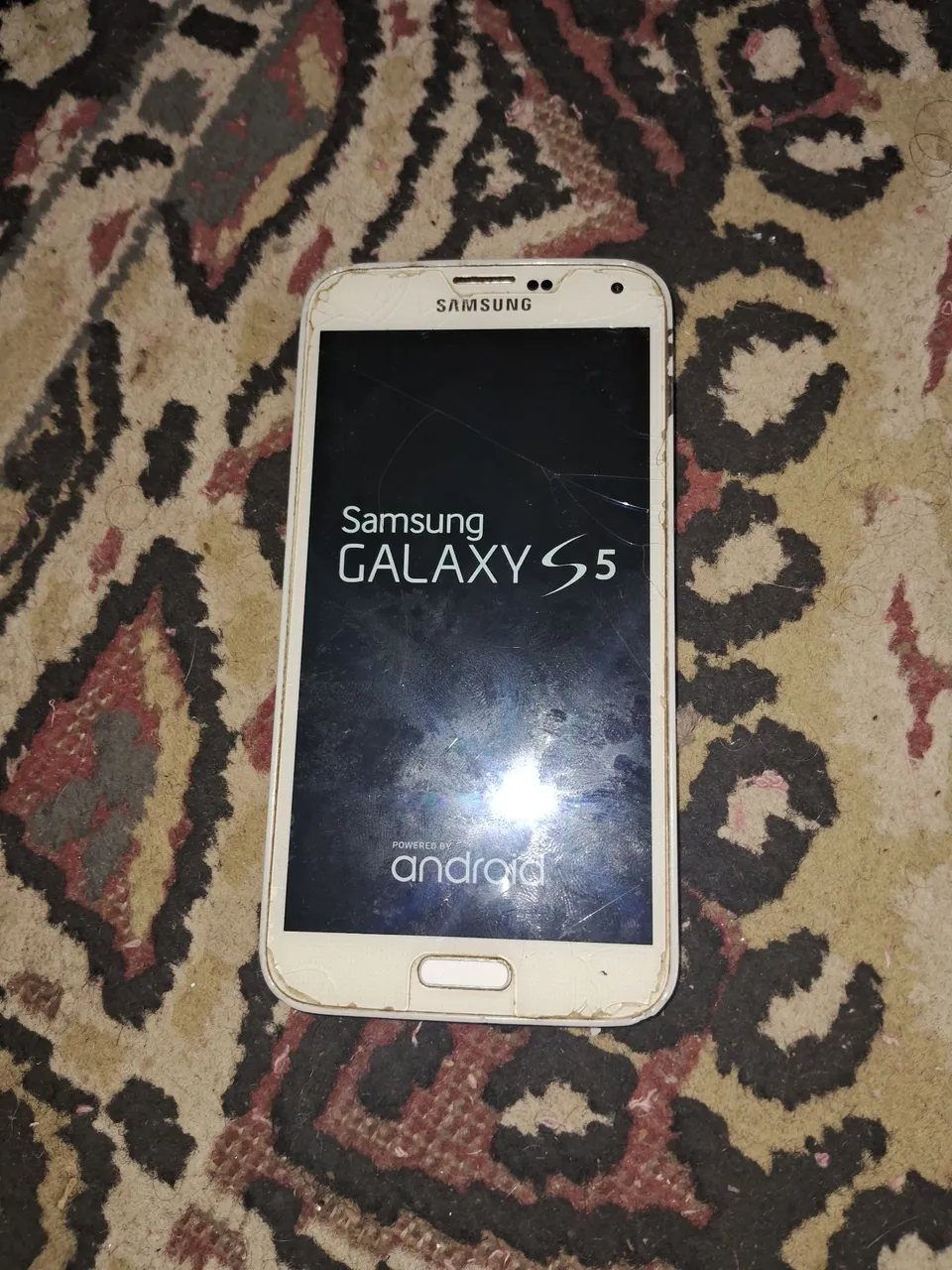 Samsung Galaxy S5 - Tela quebrada