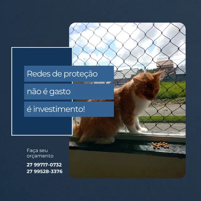 Rede de proteção