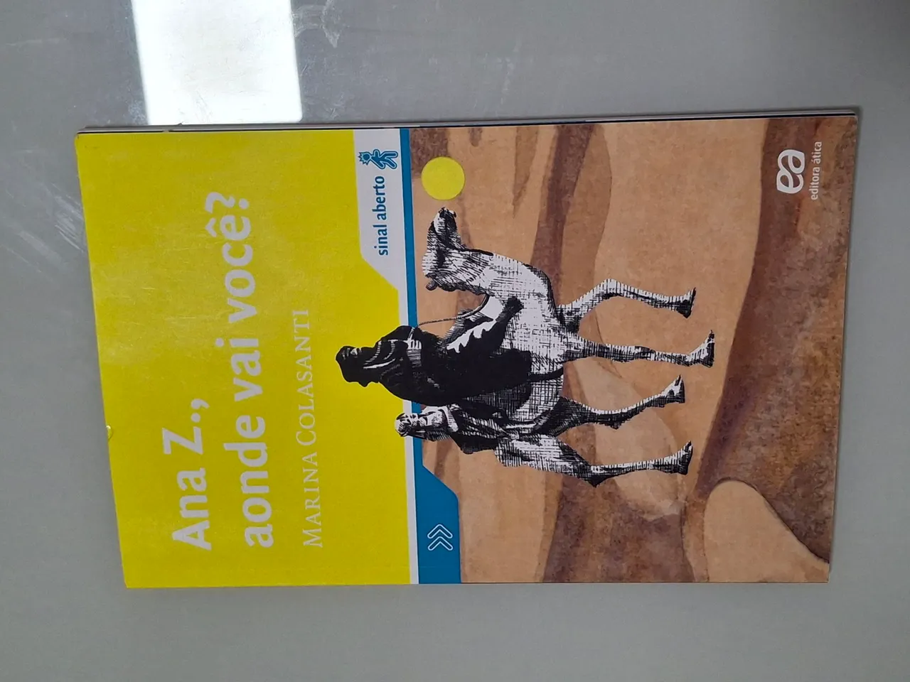 Ana Z, aond?e vai você?