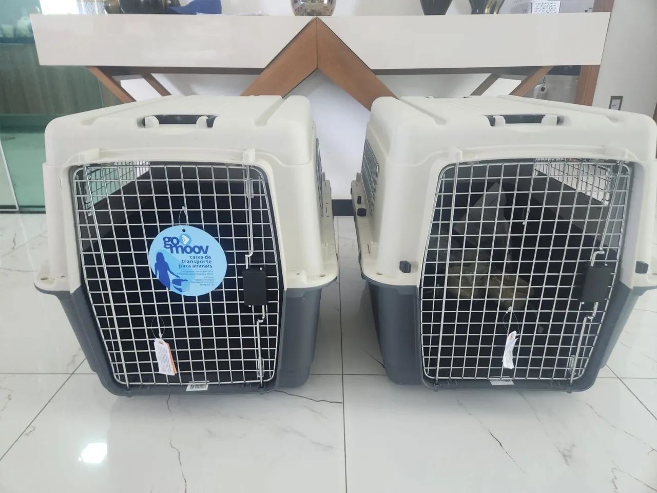 CAIXA TRANSPORTE PET