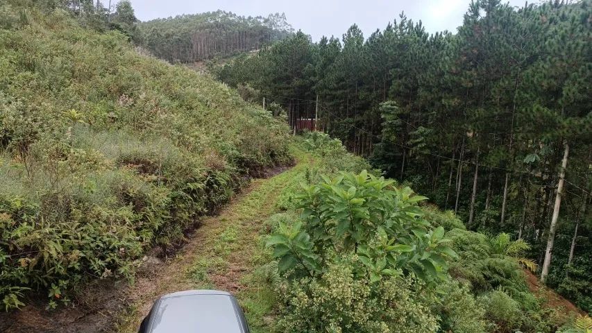 Sítio com casa em Santa Leopoldina, 4200 m2 - Foto 2