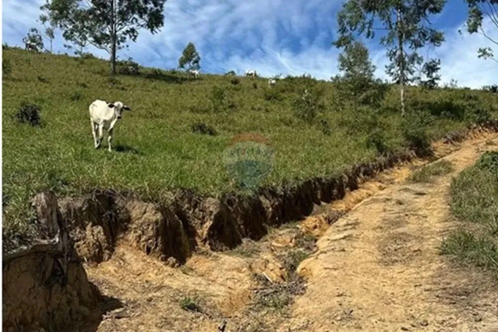 Fazenda em Braçanã para quem procura um excelente investimento ou tranquilidade. - Foto 4