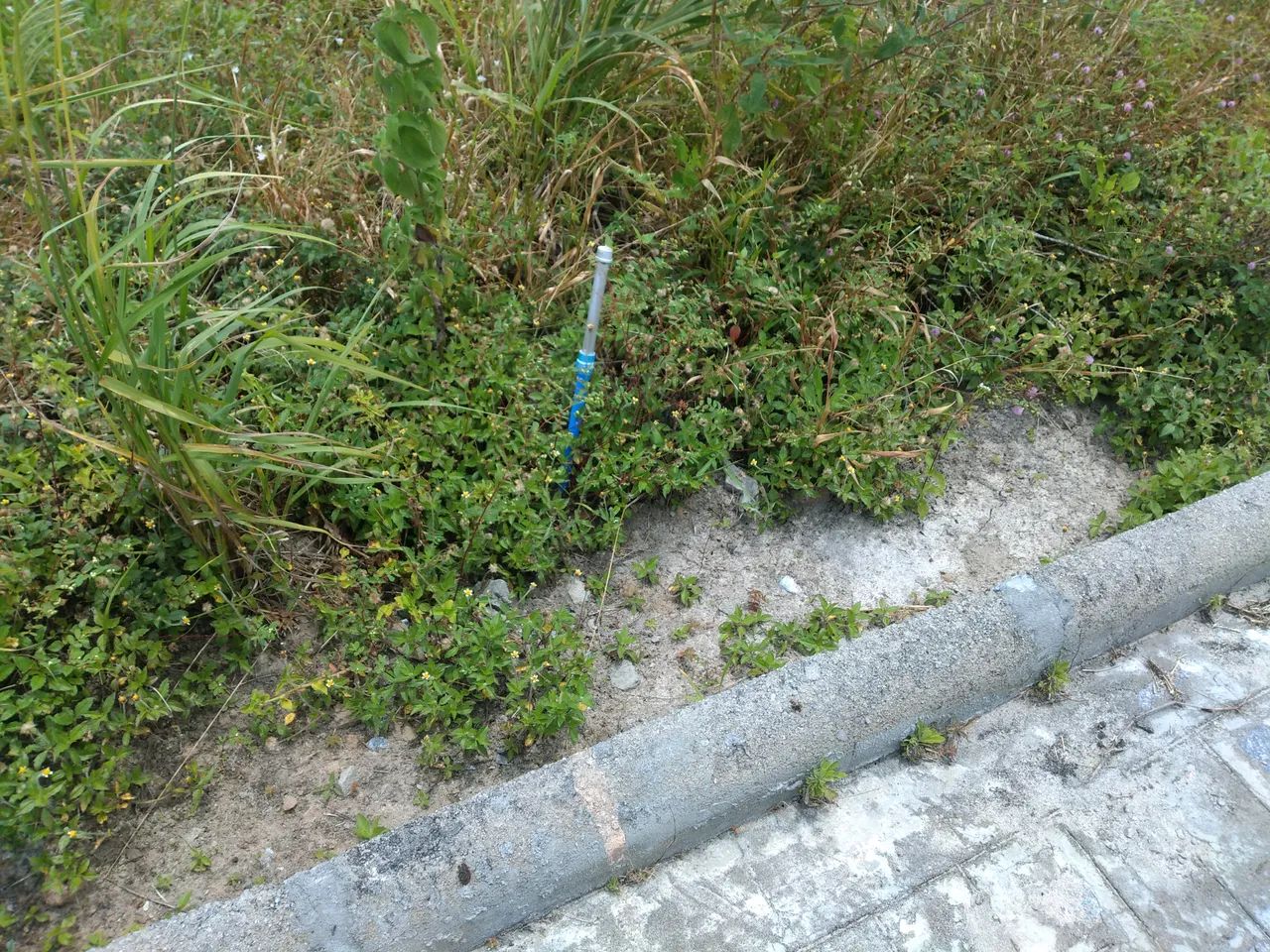 VENDO LOTE NO REAL VILLE, EM RIO REAL/BA - Foto 6