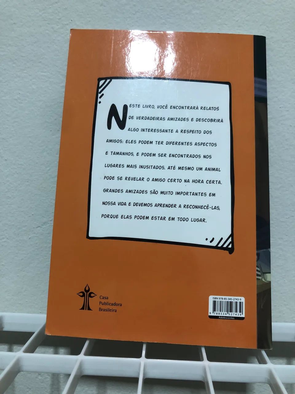 Livro: Amizade fora do comum - Foto 2