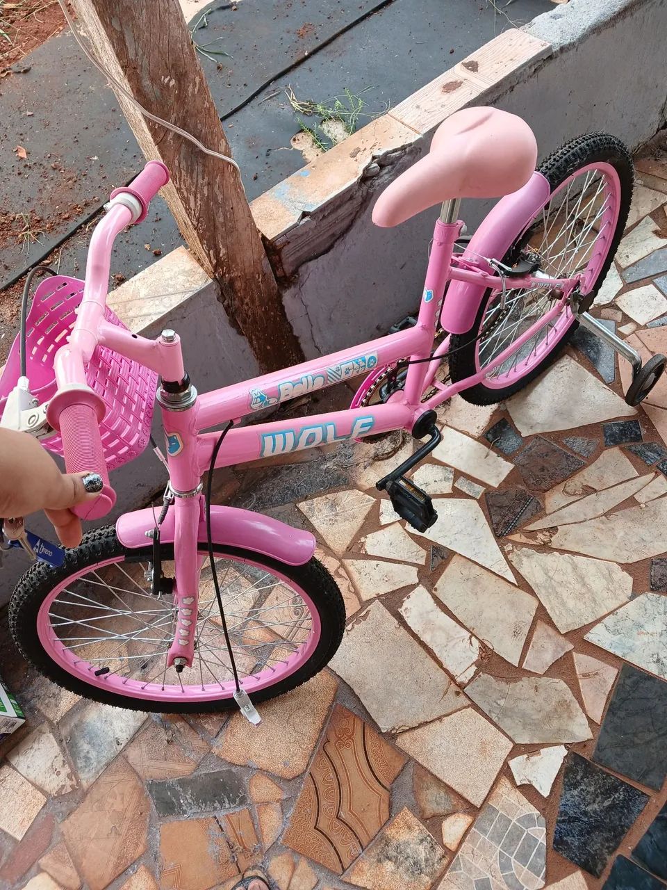 Bicicleta 