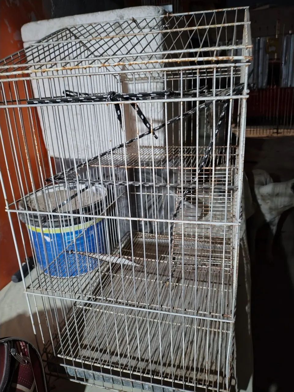 Gaiola para aves ou Roedores em bom estado - Foto 2