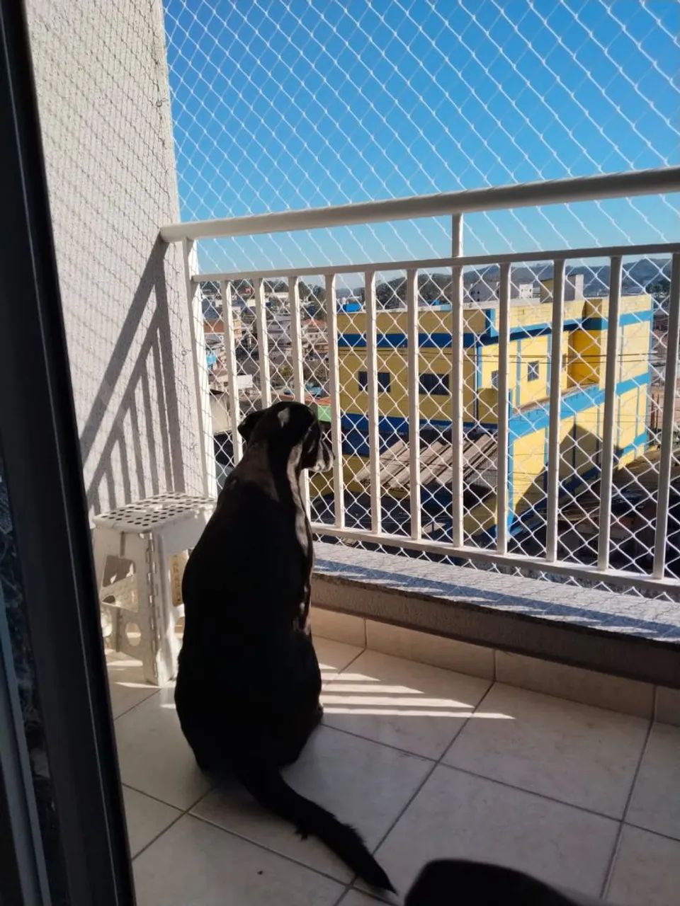 Instalação de tela de proteção  - Foto 5