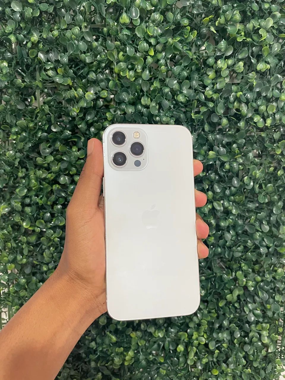 iPhone 12 Pro Max 256 GB