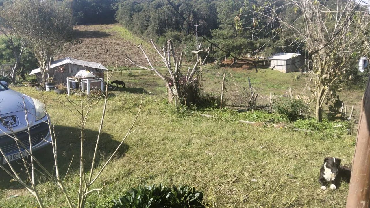 Vendo chácara em Mandirituba 