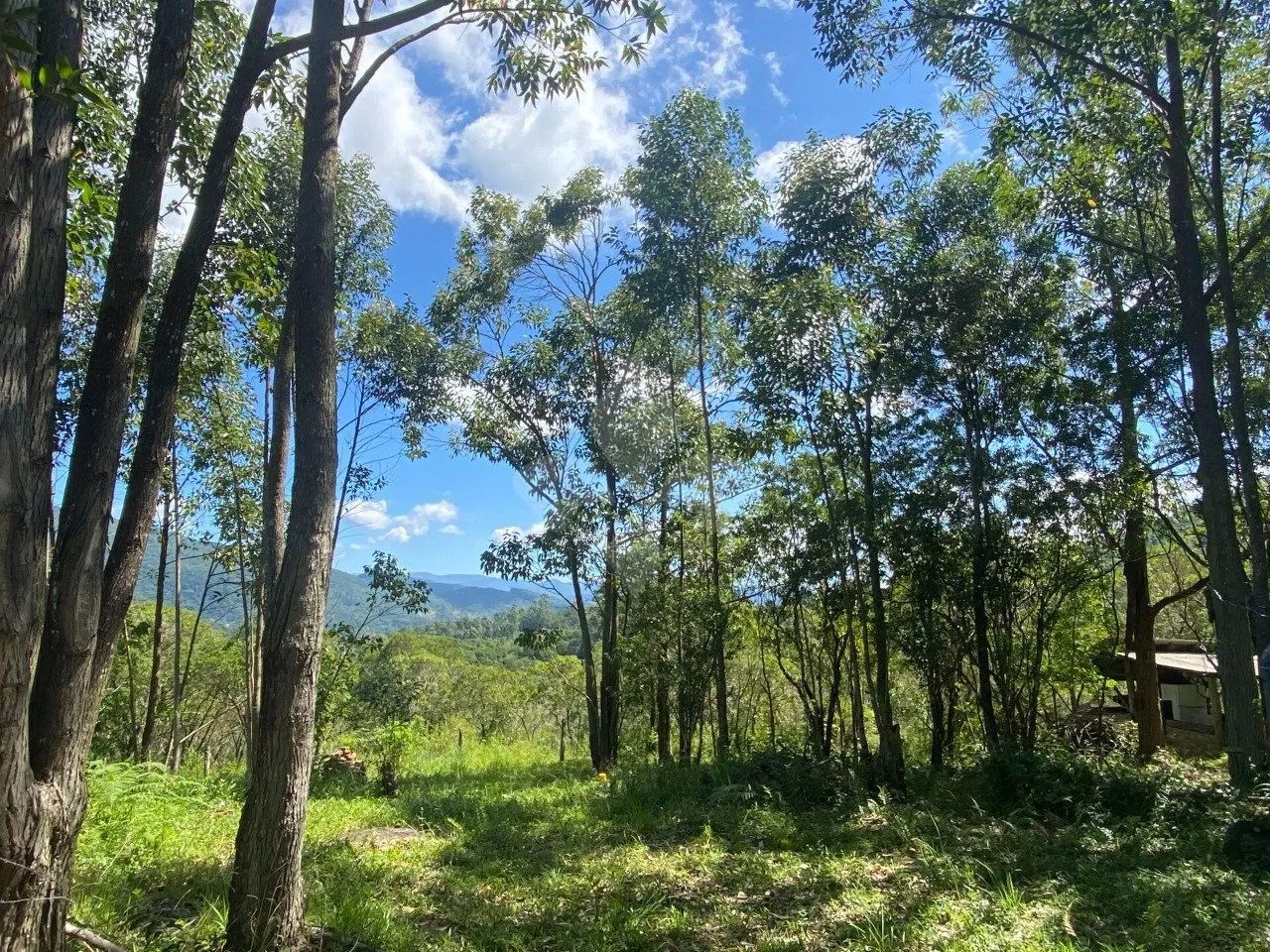 Área à venda em Garopaba com 14.061 m² - Foto 2