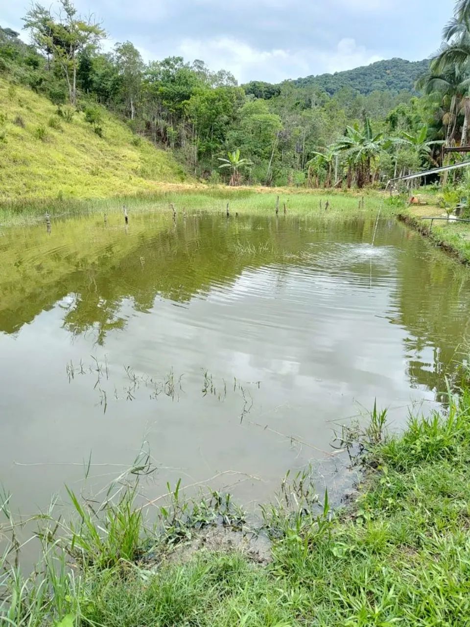 SÍTIO À VENDA EM MIRACATU/SP - Foto 2