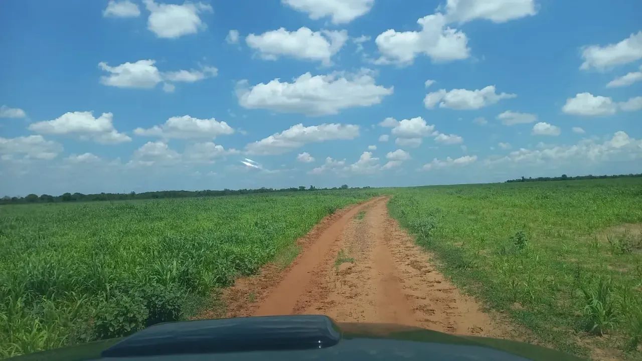 FAZENDA A VENDA  com 170 HA - Foto 5