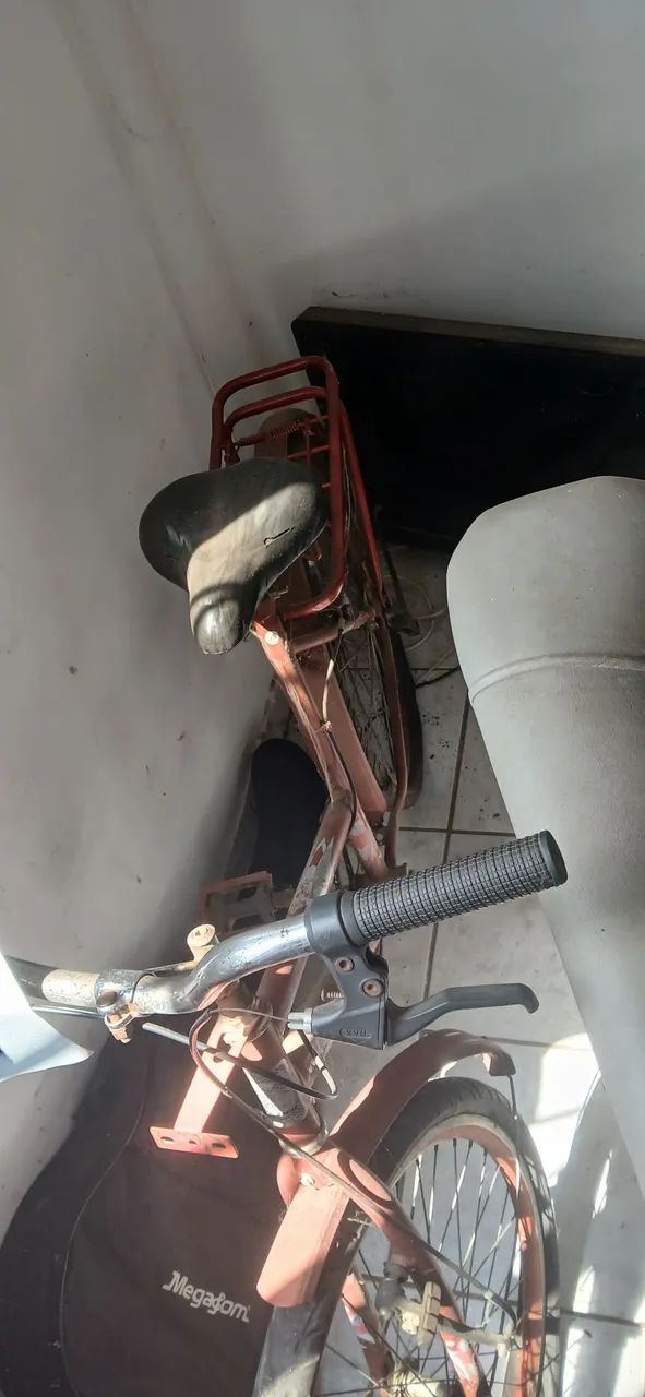 Bicicleta adulta