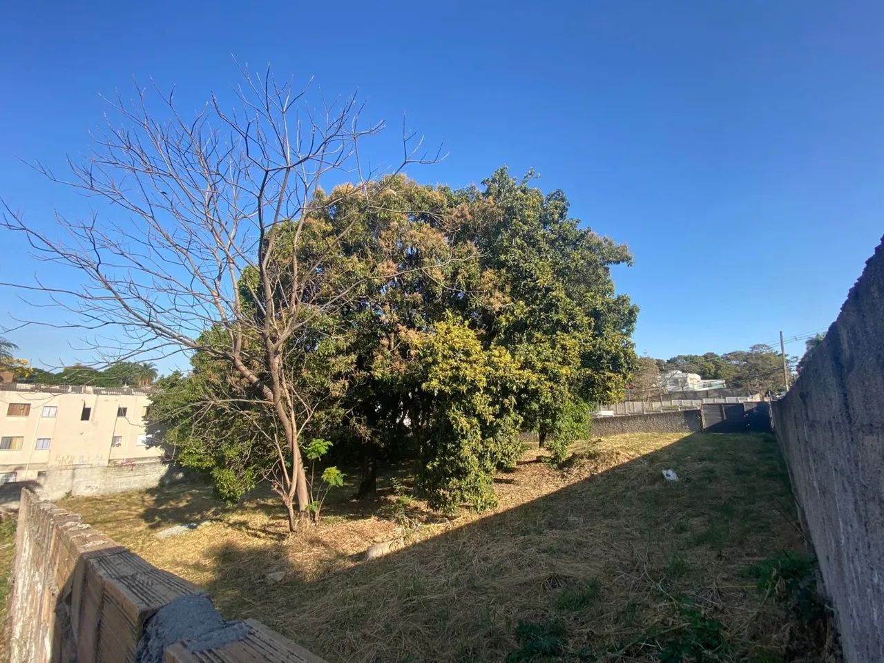 LOTE DE 2.000 M² NO BAIRRO TREVO