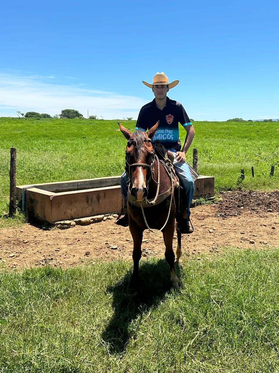 Quarto de milha  - Foto 2