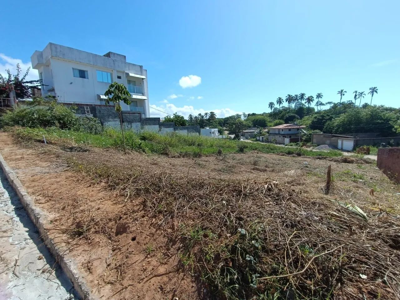 Terreno para Venda em Paripueira - Foto 3
