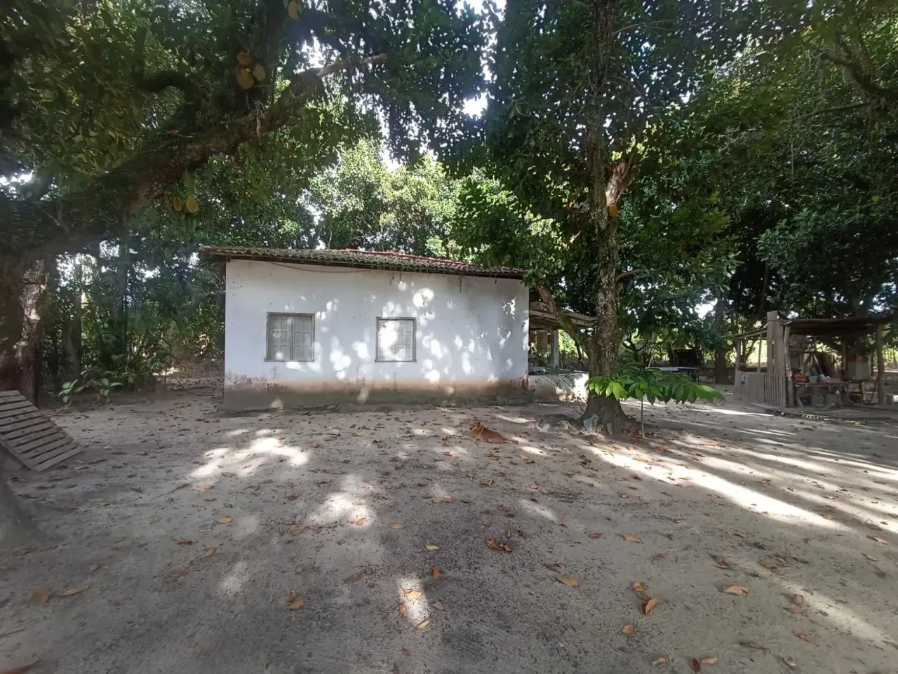Vende sítio no Juca Rosa - Foto 2