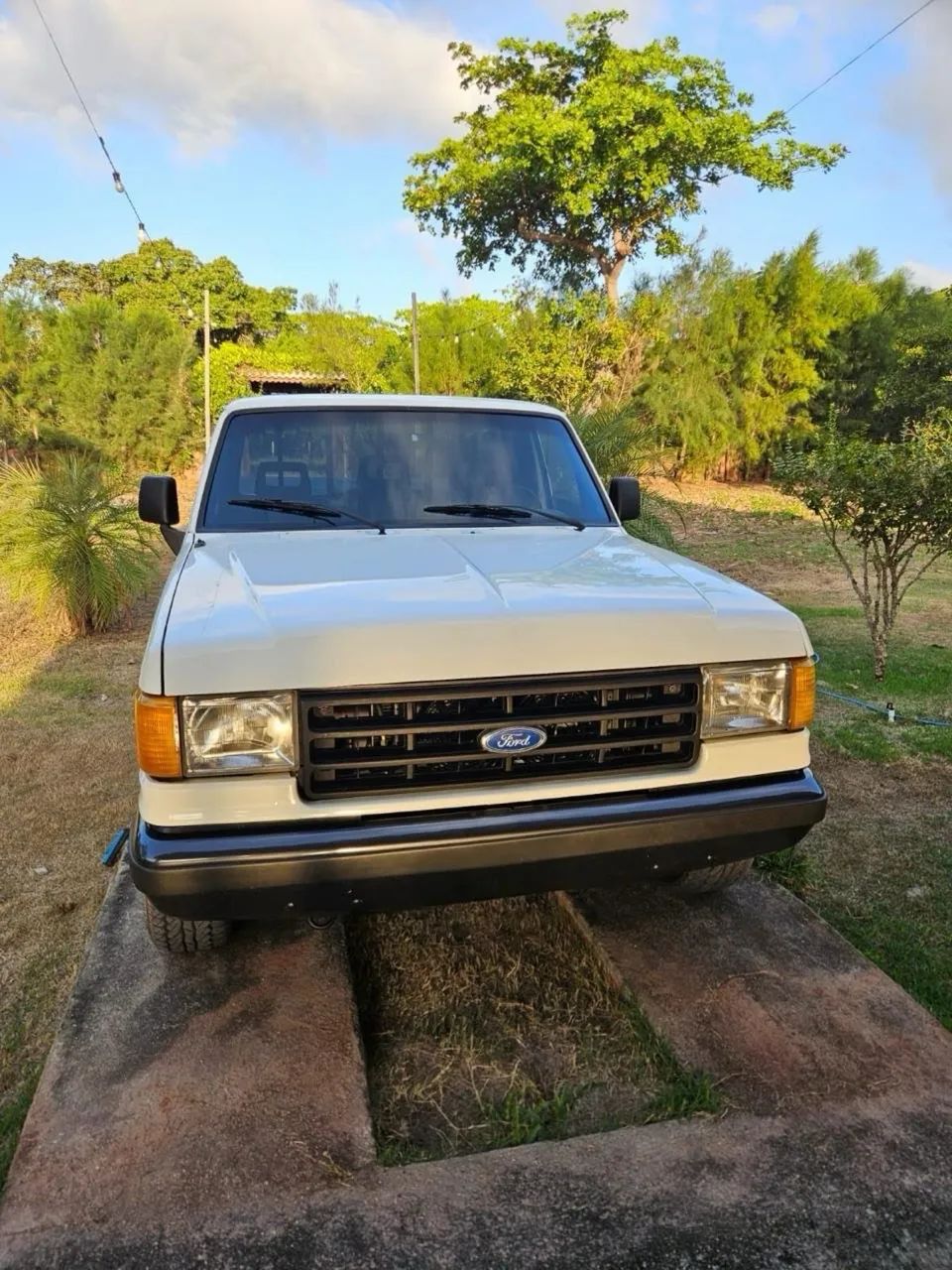 Ford F-1000 S. S. Diesel / S.s. Diesel Turbo 1993