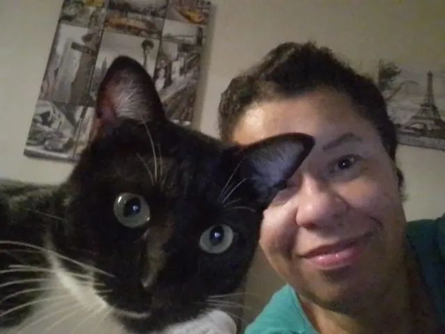 Cuidadora de cães e gatos no ABC - Foto 3