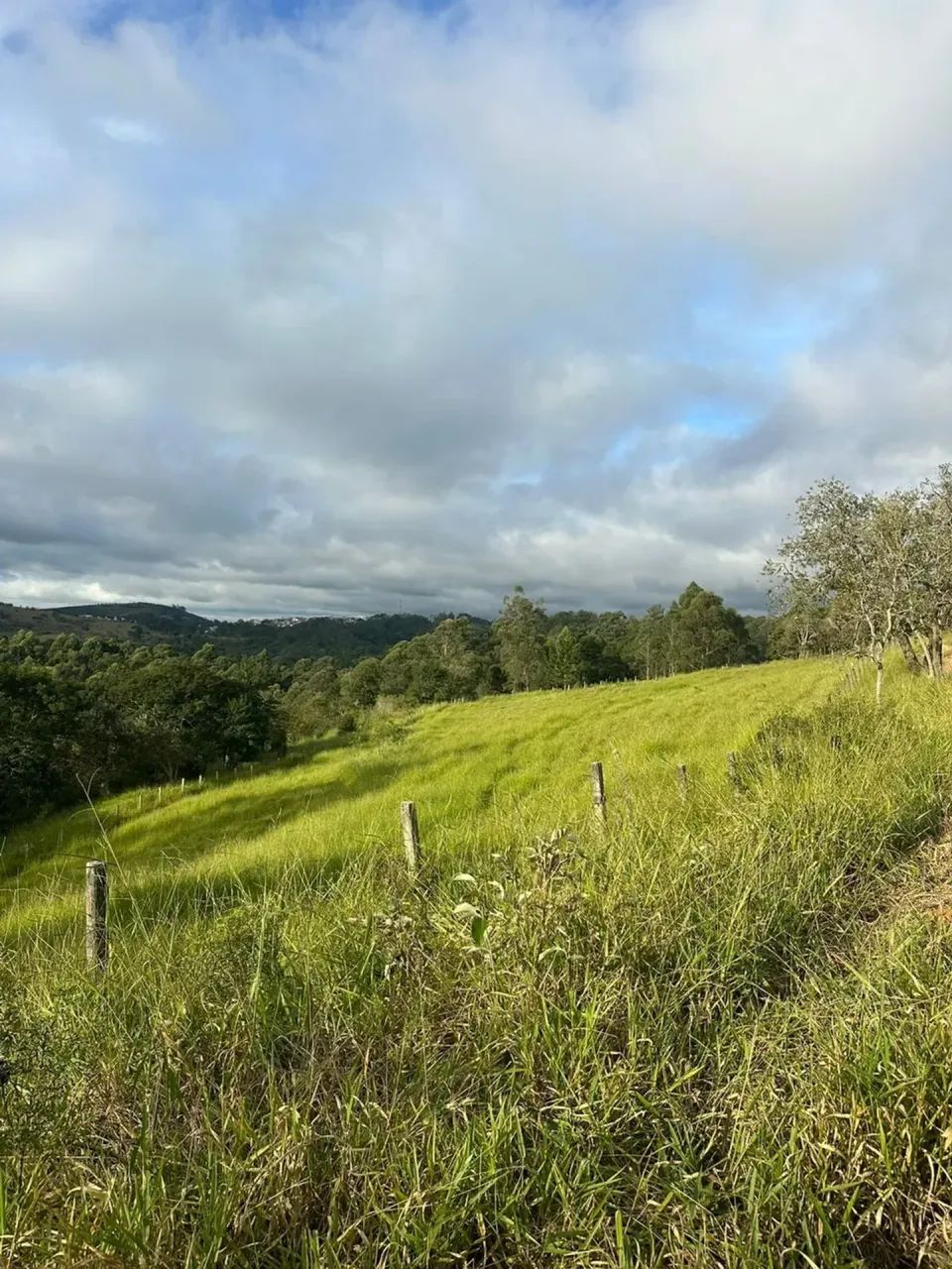 Direto com proprietário: negociação simples e transparente. - Foto 3