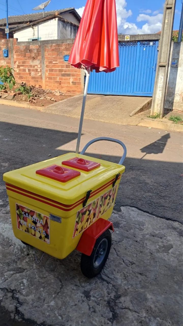 Carrinho de Vender Picolés, Salada de Frutas - Foto 3