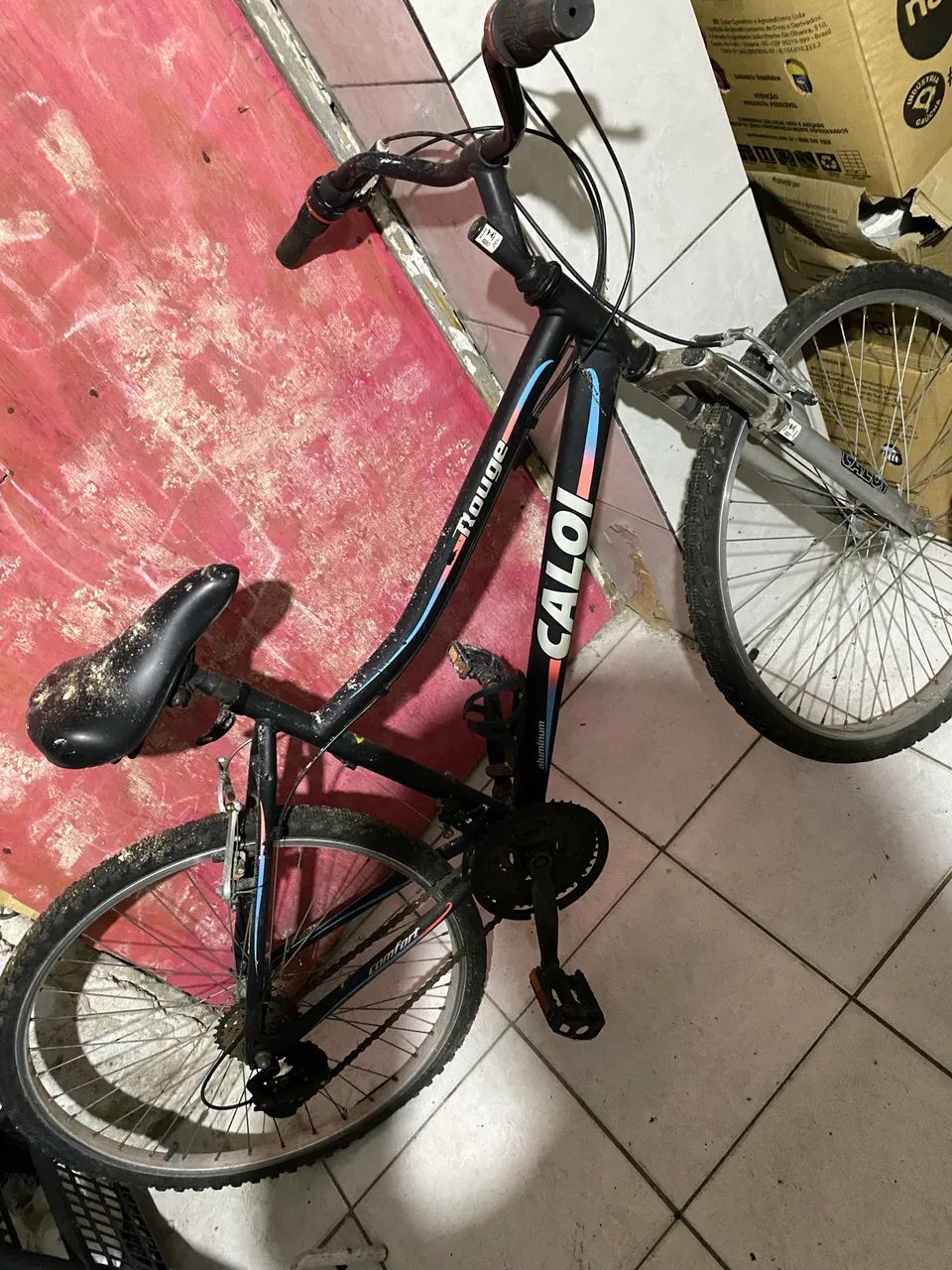 Bicicleta 