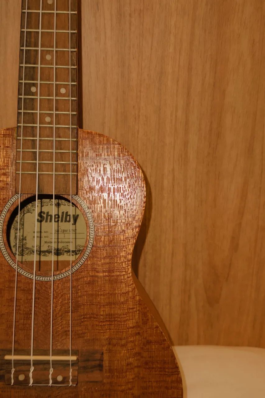 Ukulele (concert)  - Foto 3