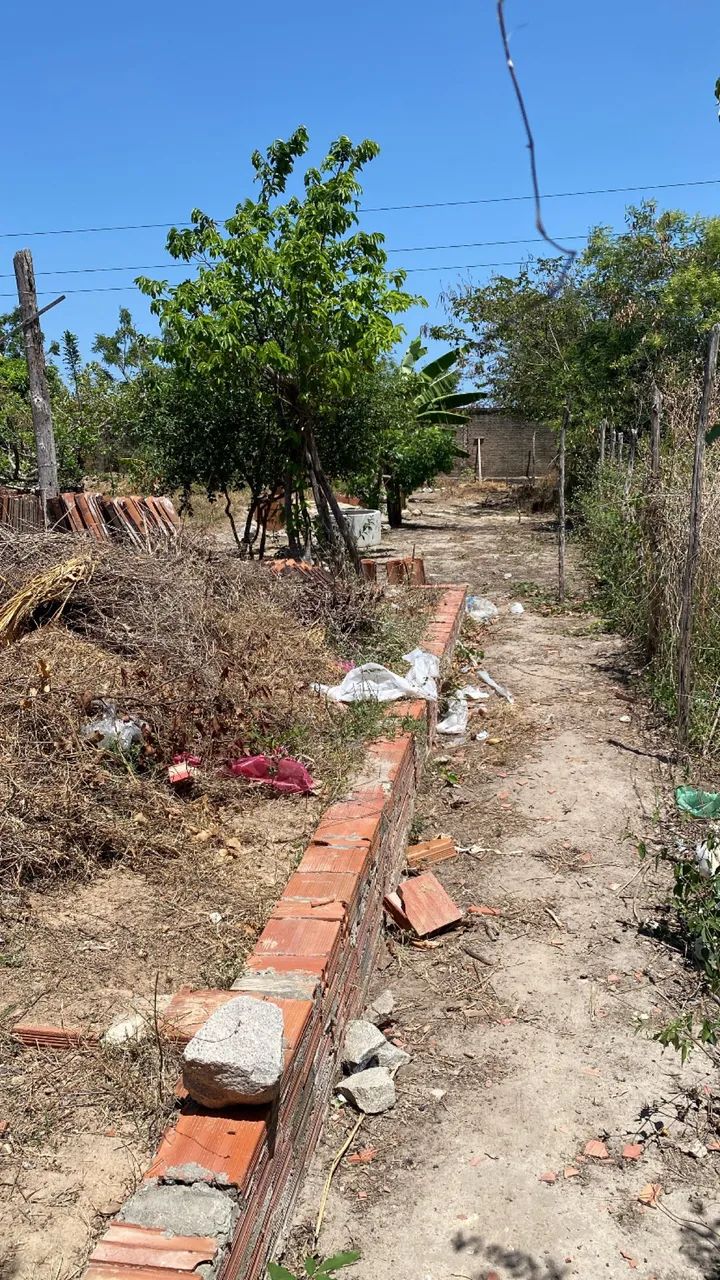 Terreno pra vender 6 por 50 - Foto 4