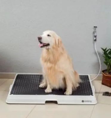 Banheiro Weasy Tamanho G com conexão mangueira 