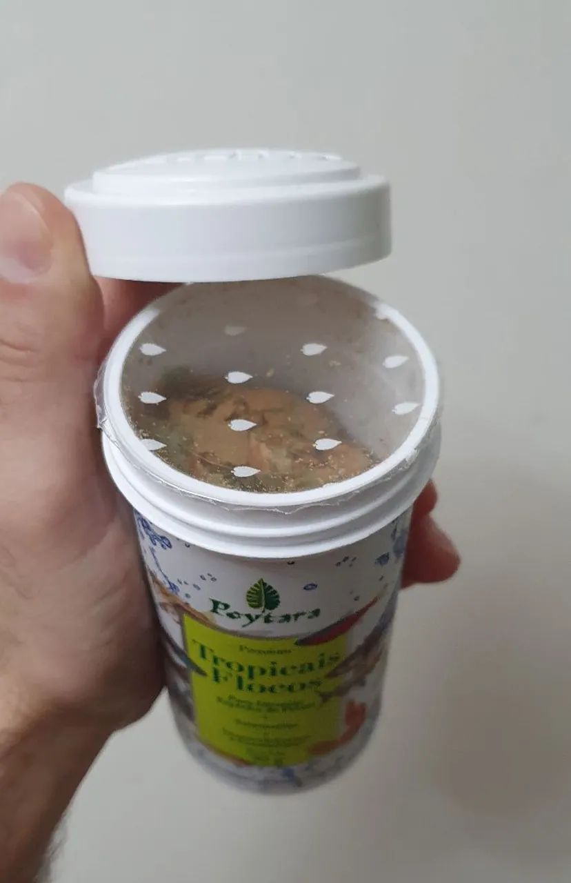 Ração Poytara Flocos 30g - Foto 3