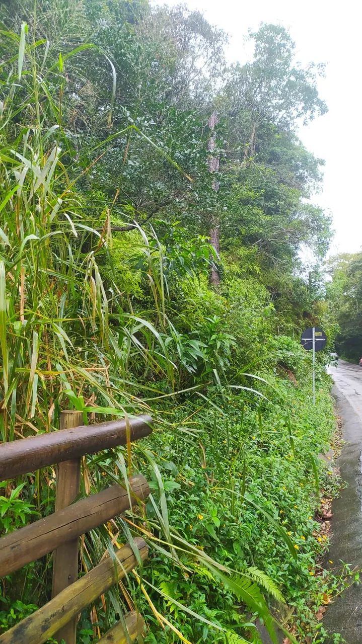 Terreno à venda em Vargem Grande, Florianópolis. - Foto 5
