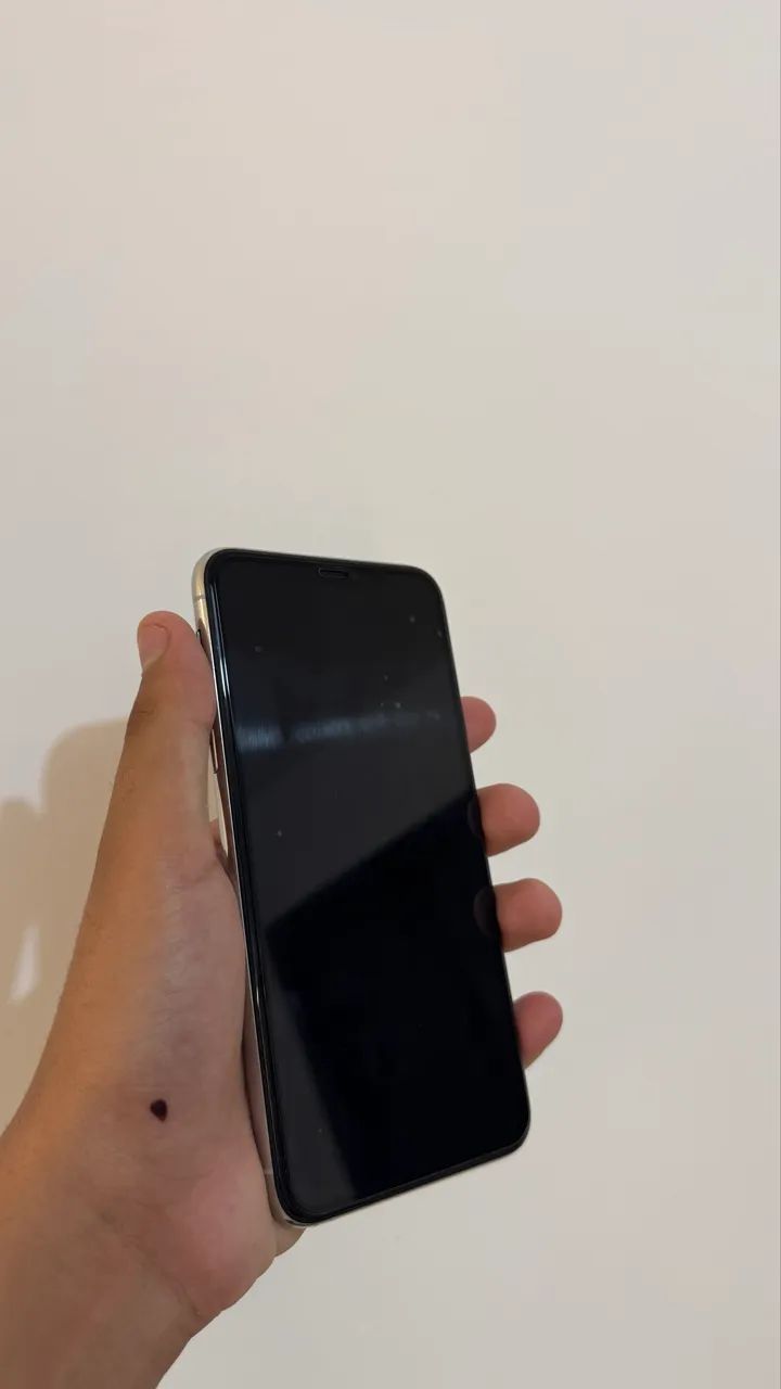 iPhone 11 Pro Max 