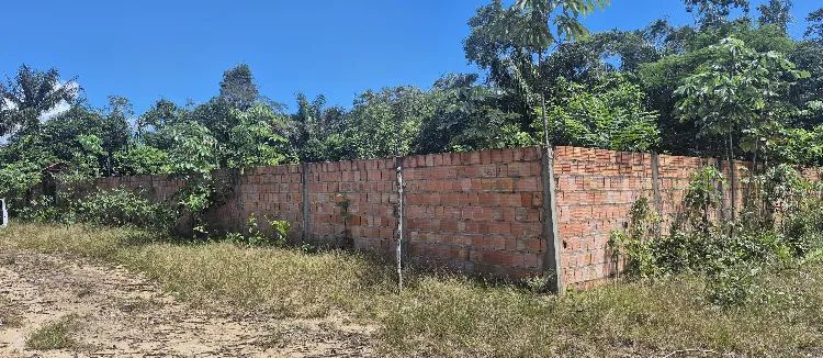 Terreno no paricatuba - Foto 4