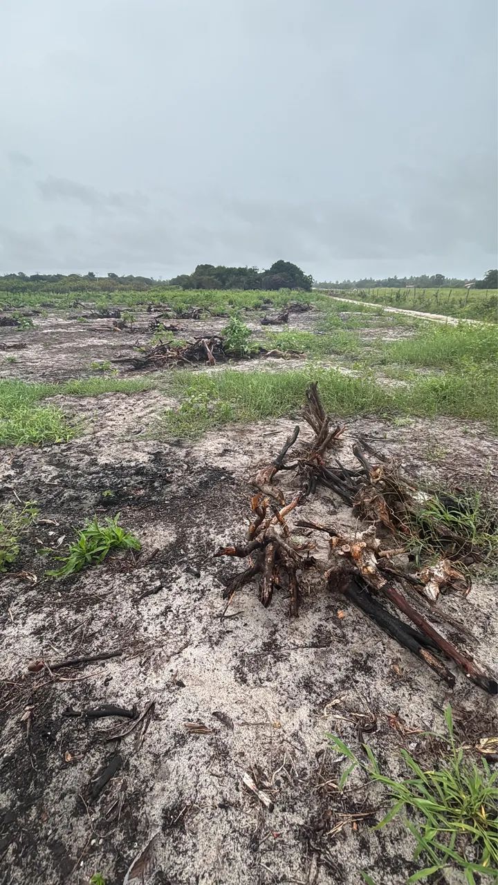 VENDO LOTES NA REGIÃO DE SUCATINGA EM BEBERIBE