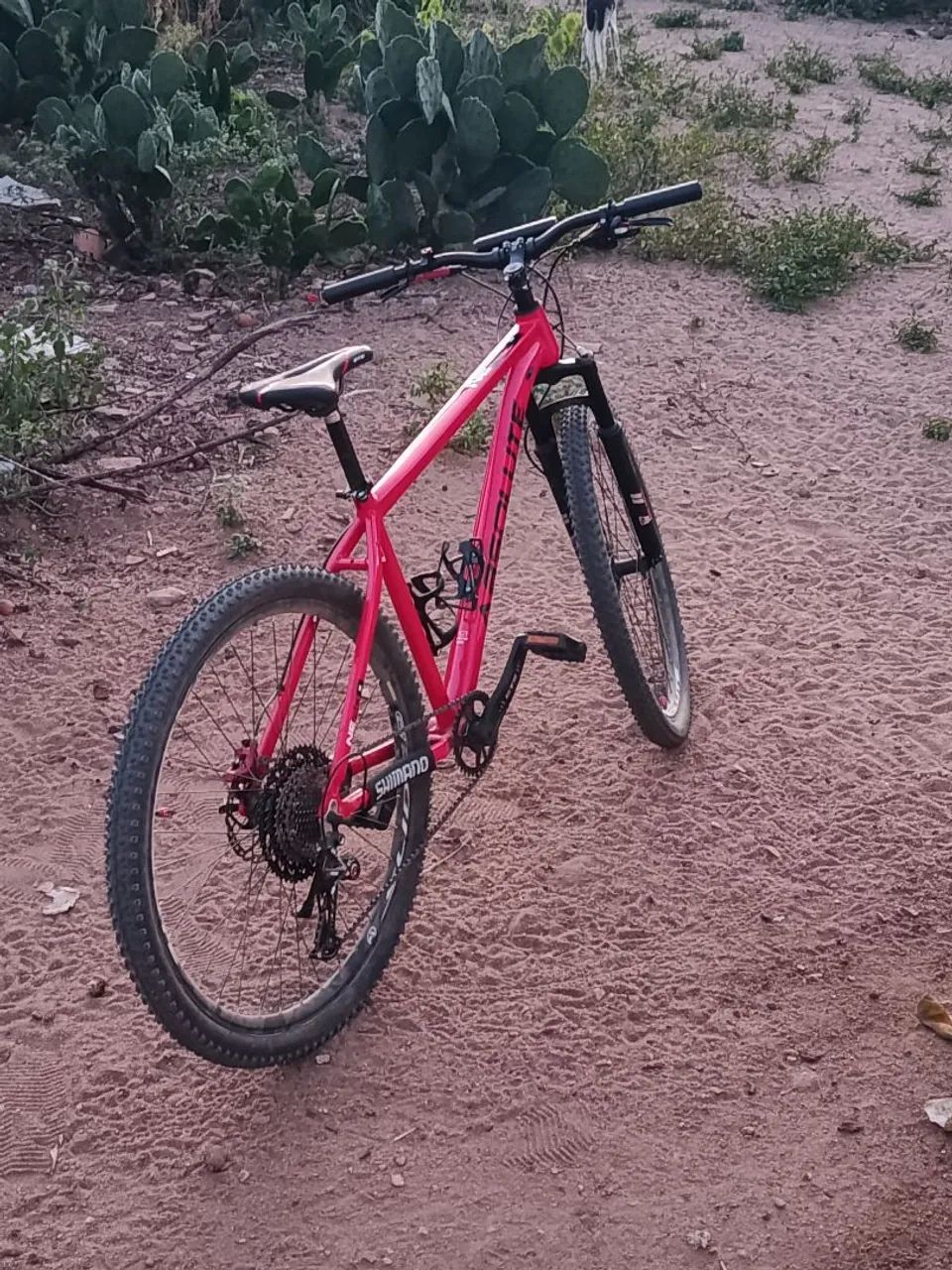 Bicicleta aro 29