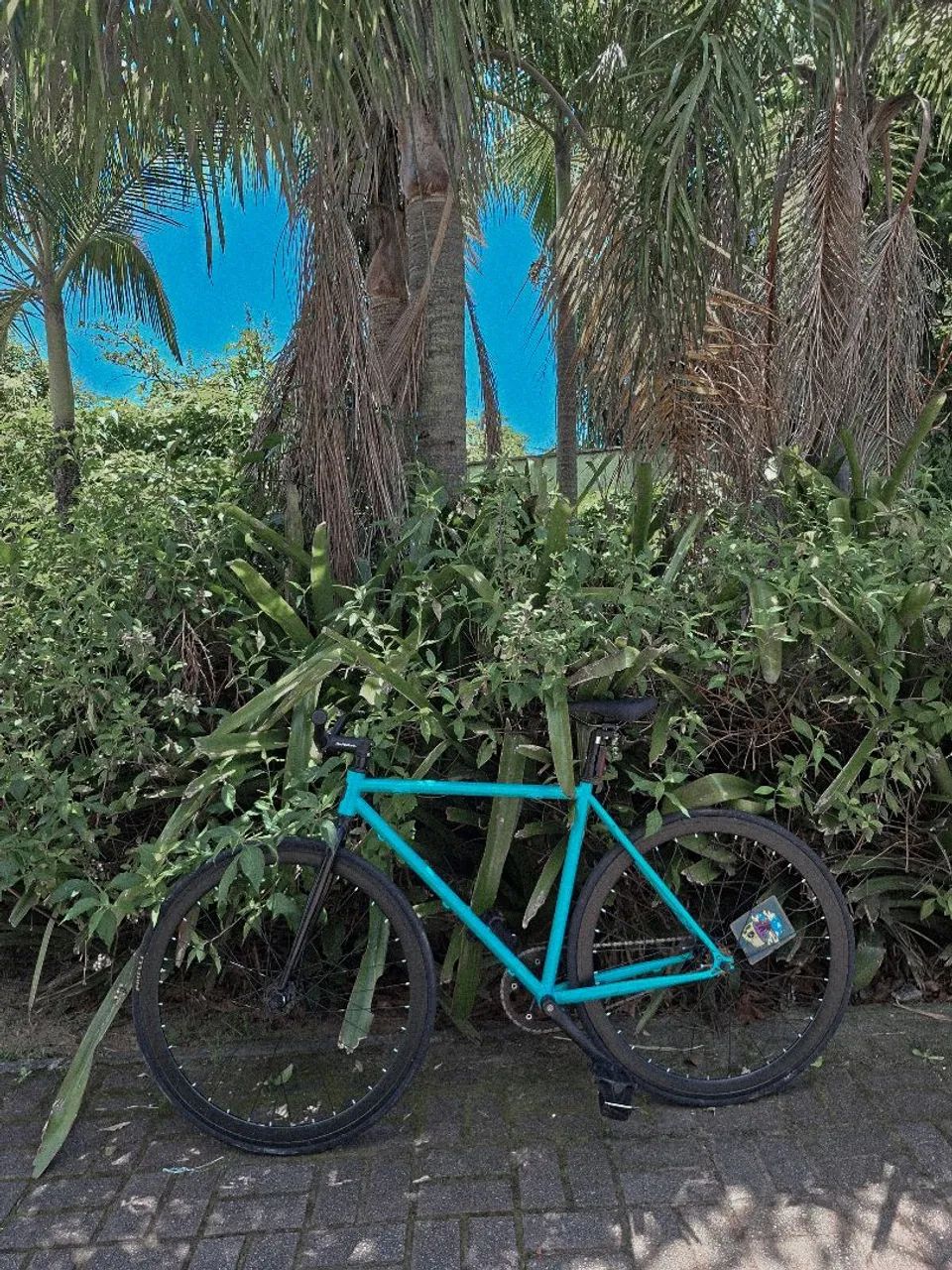 VENDO: Bike Raf Bikes Estilo Fixa / Single Speed - Foto 2