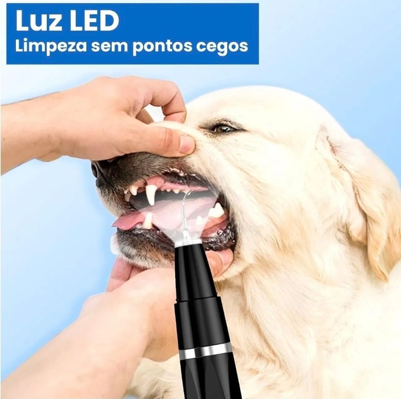 Kit de Higiene e Limpeza Dental para Cães - Foto 3