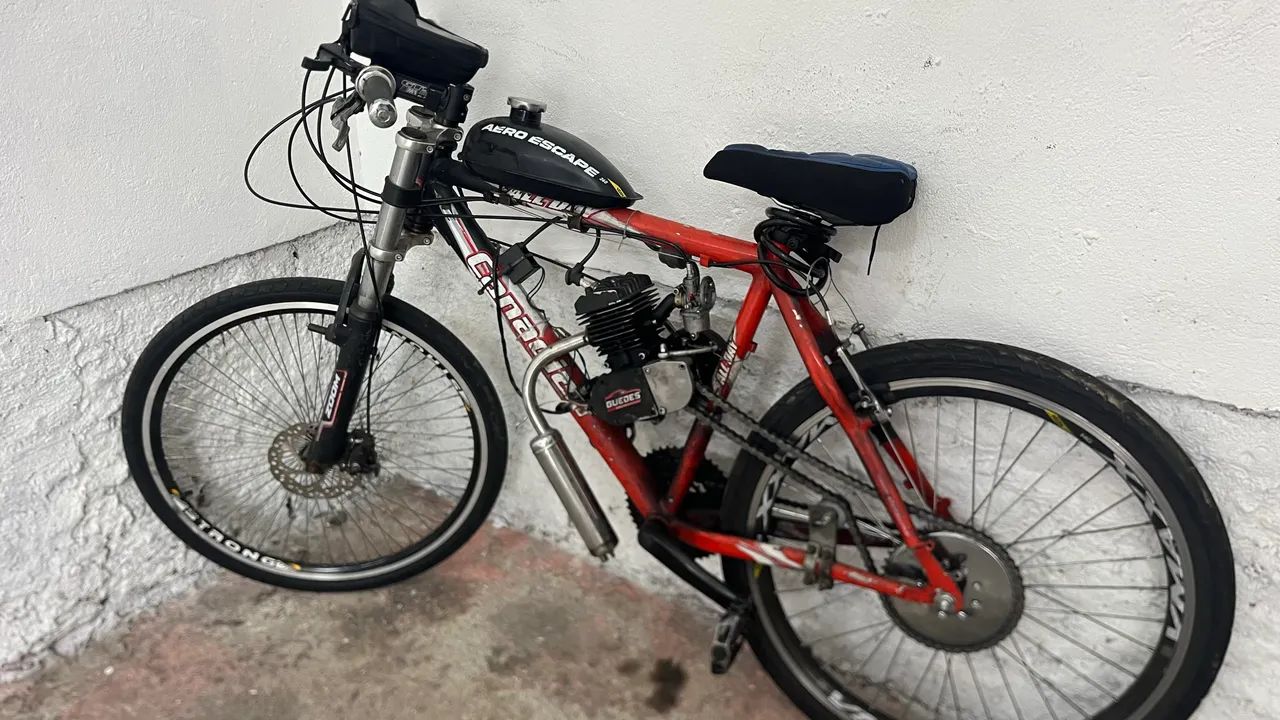 Bicicleta mosquito 
