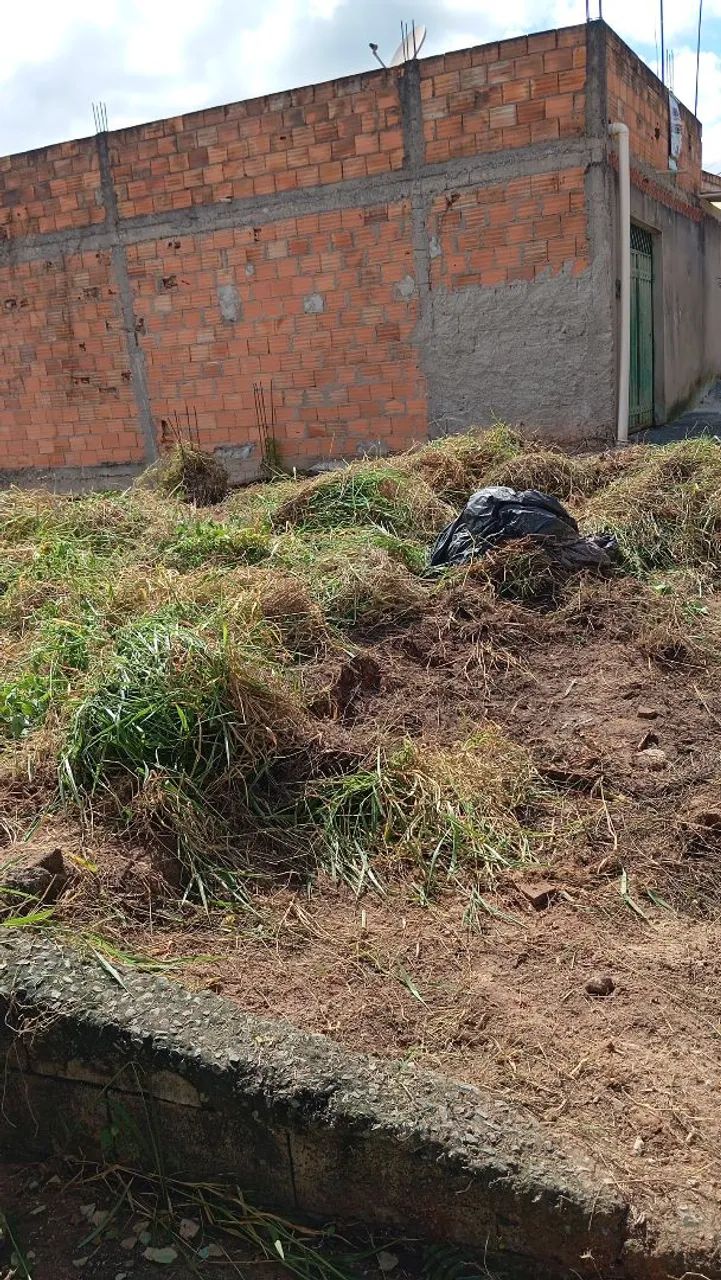 Limpeza de lote , quintal. - Foto 3