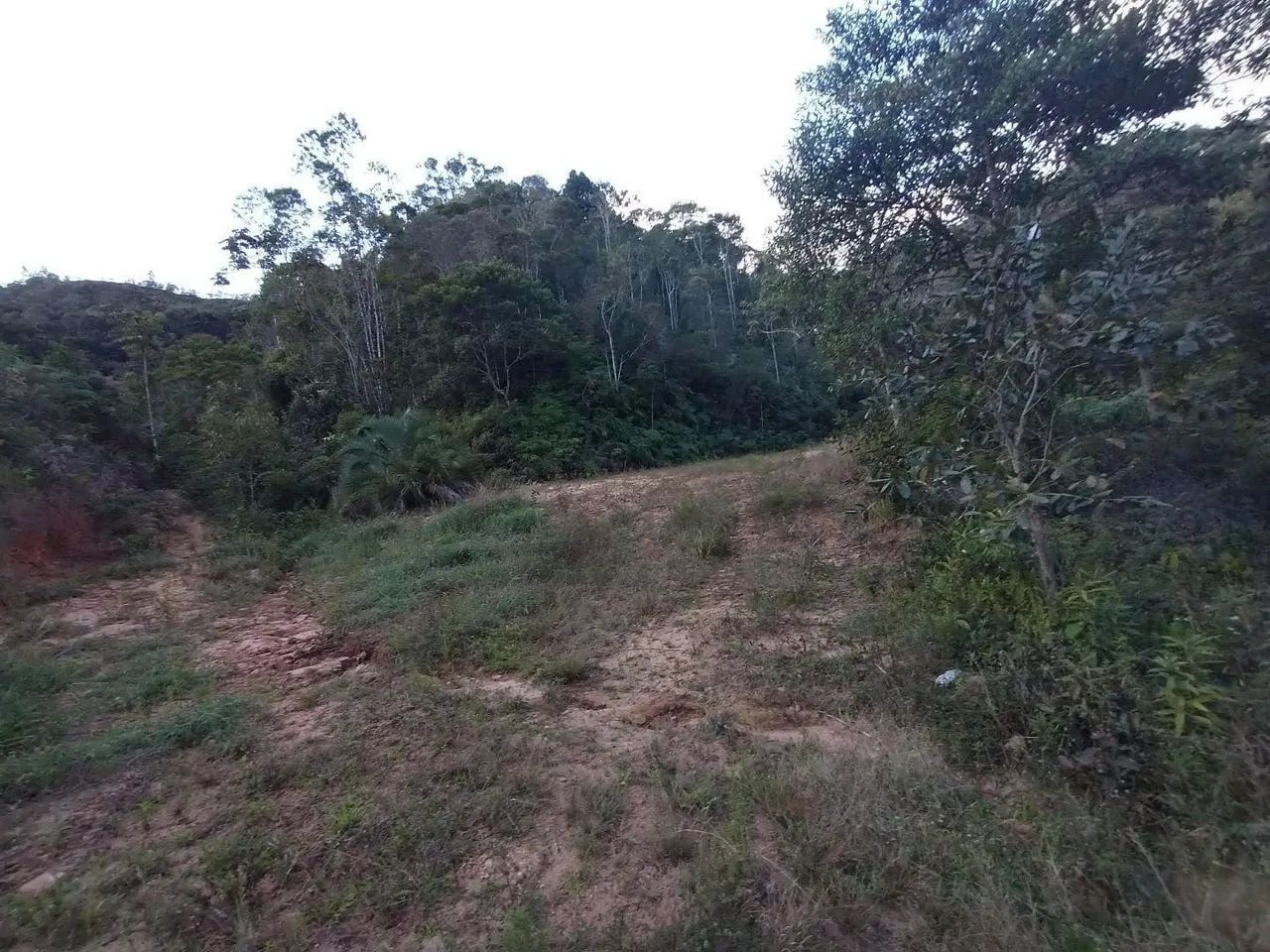 Chácara 10 mil metros quadrados  - Foto 5
