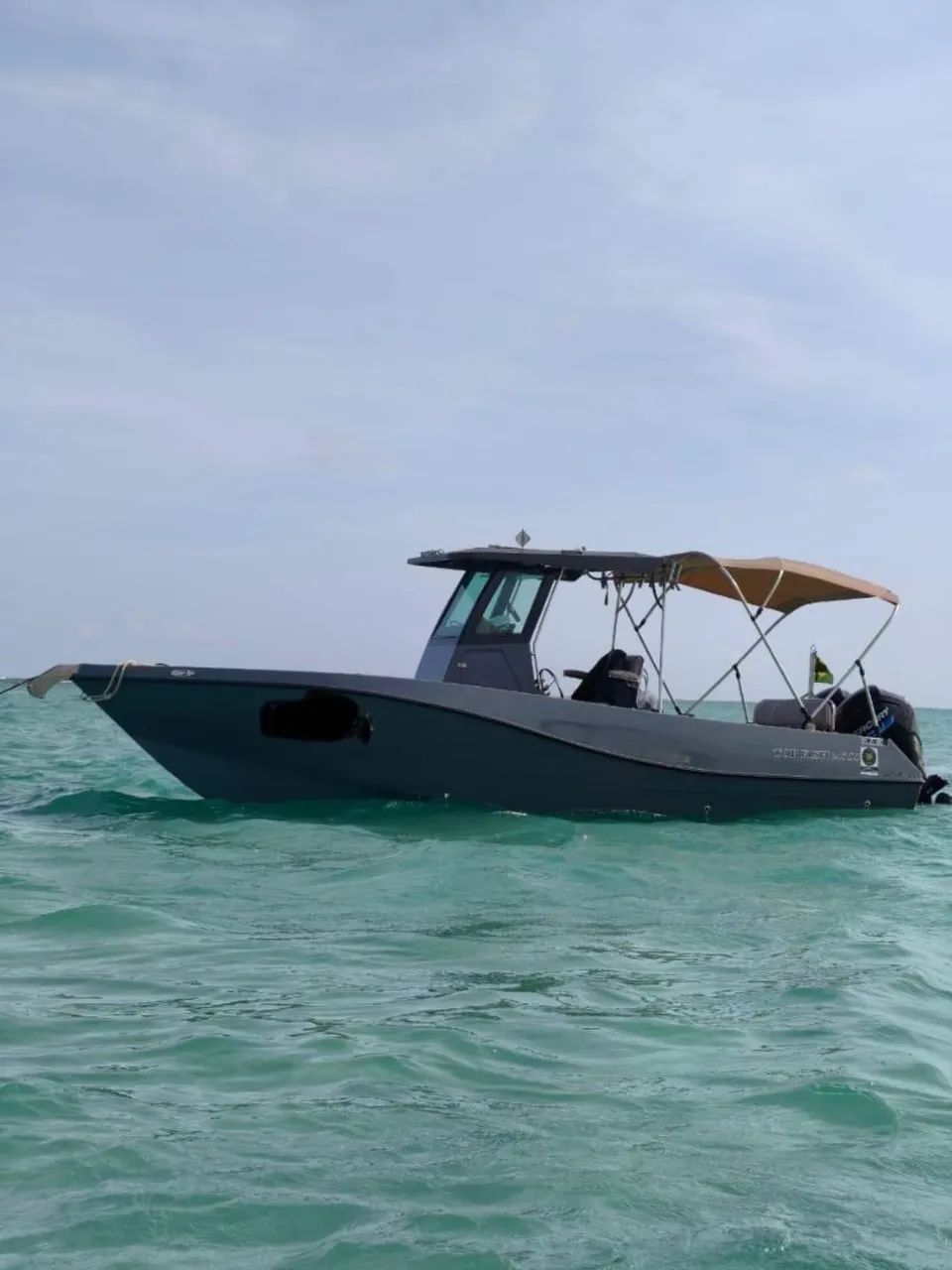 Top fish 245 .... show - Foto 14