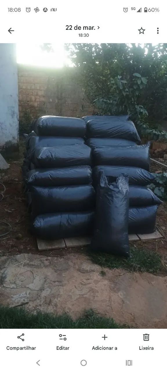 Silagem de milho  - Foto 2