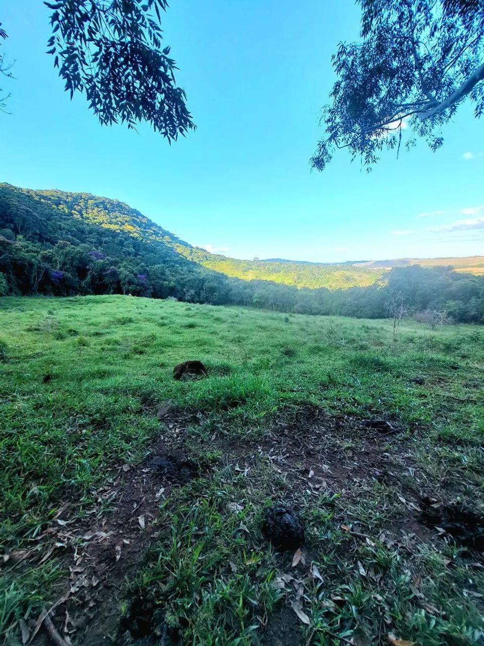 Imóvel rural são thomé das letras  - Foto 4