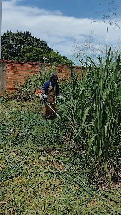 Faço serviço de jardinagem 