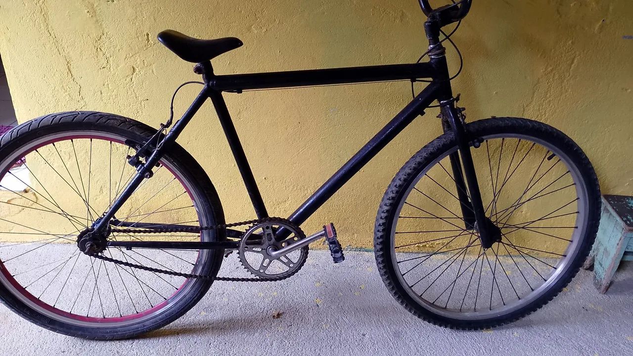 Bicicleta 